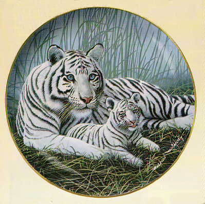 White Tigers 