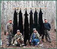 alberta black bear hunts