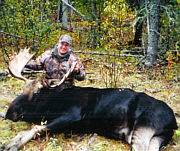 moose hunting 
alberta canada